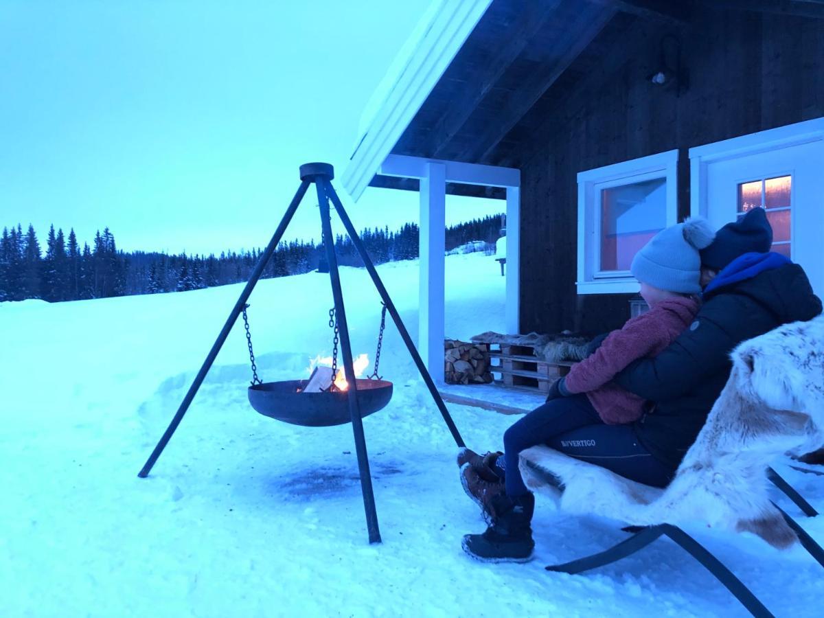 Lodge Pa Myhre Gard Skammestein
